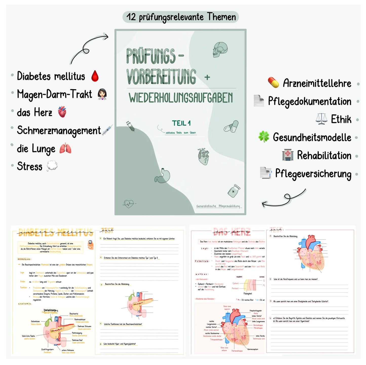 BUNDLE Prüfungsvorbereitung