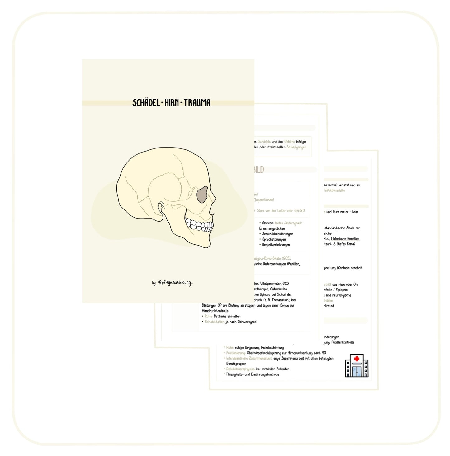 Schädel-Hirn-Trauma