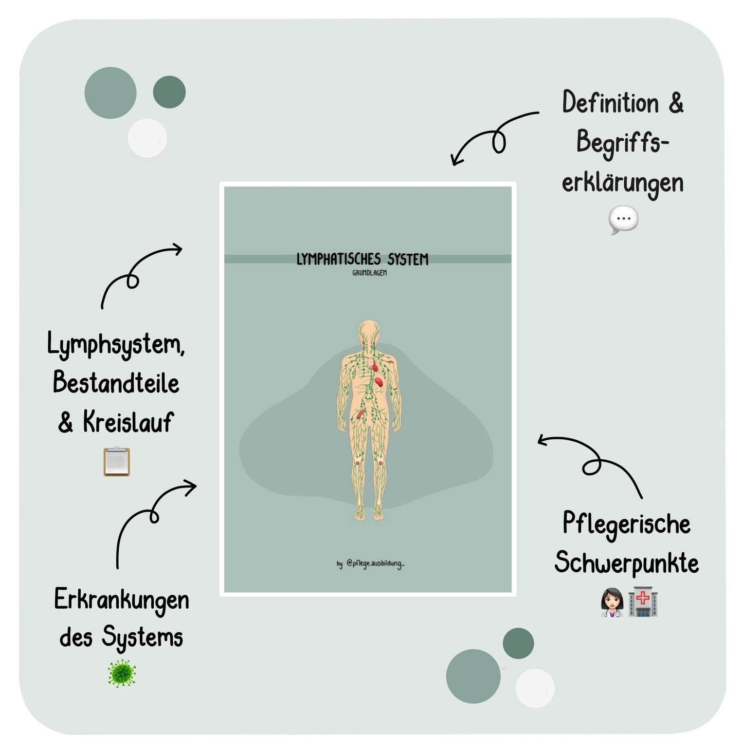 Lymphatisches System