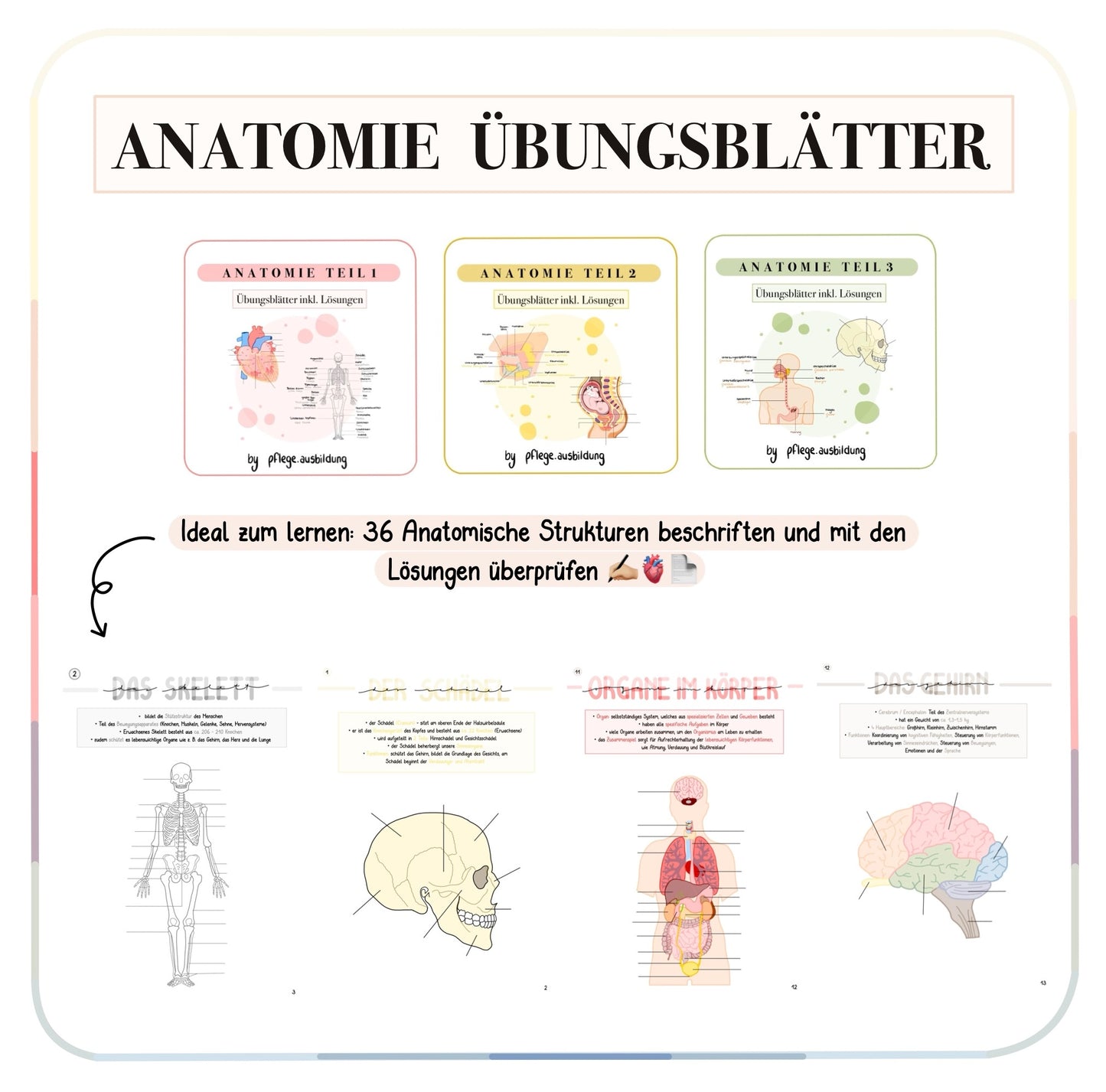 B U N D L E - Einmal alles!