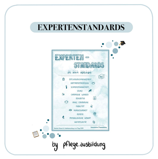 Expertenstandards