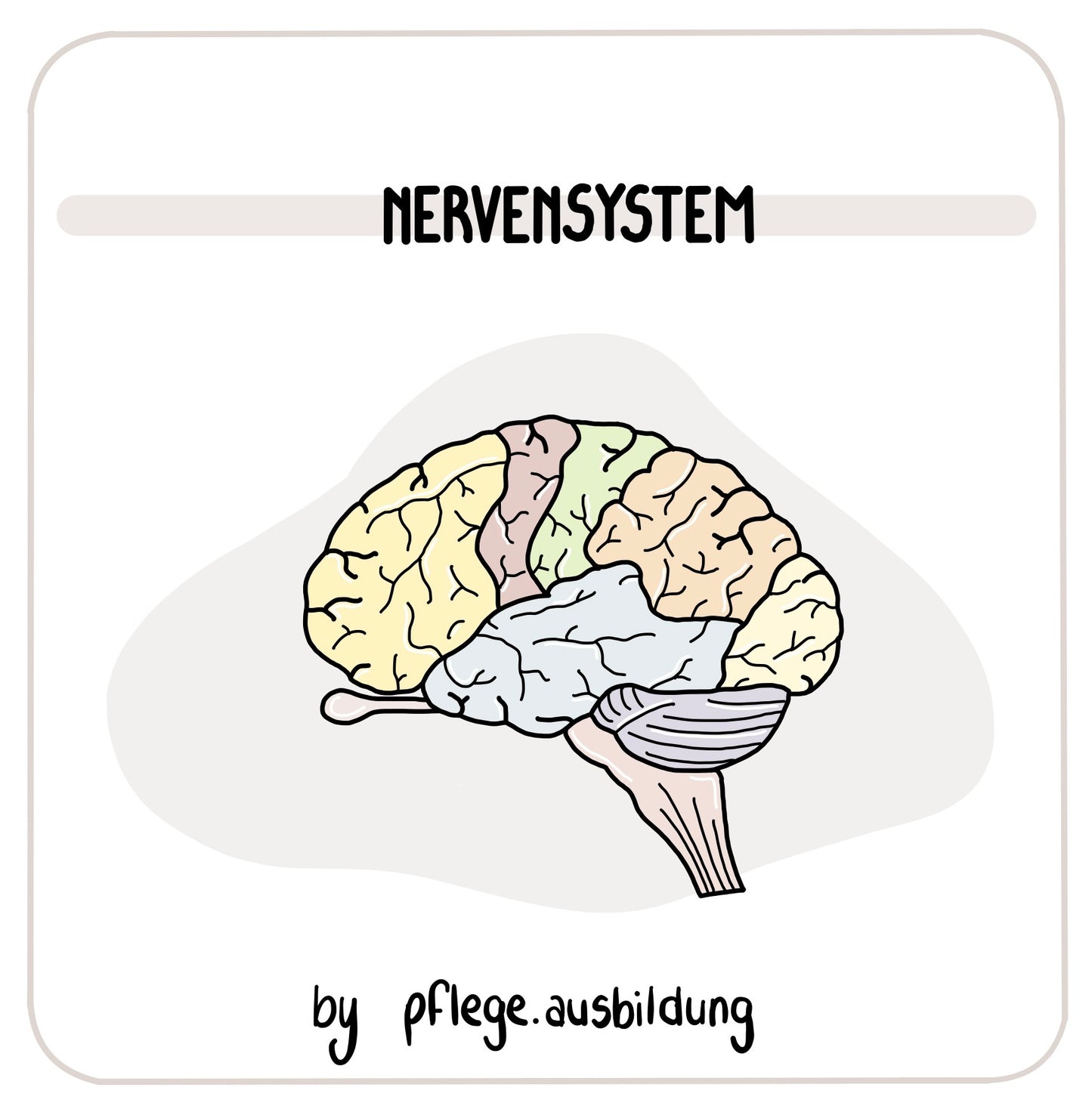 Nervensystem