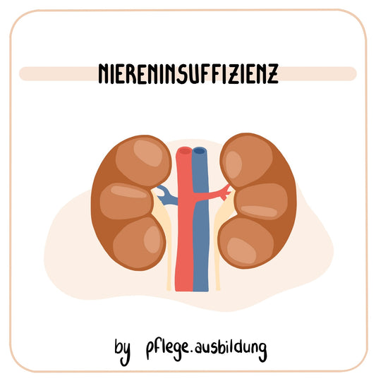 Niereninsuffizienz