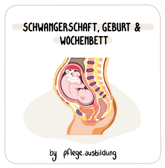 Schwangerschaft, Geburt & Wochenbett