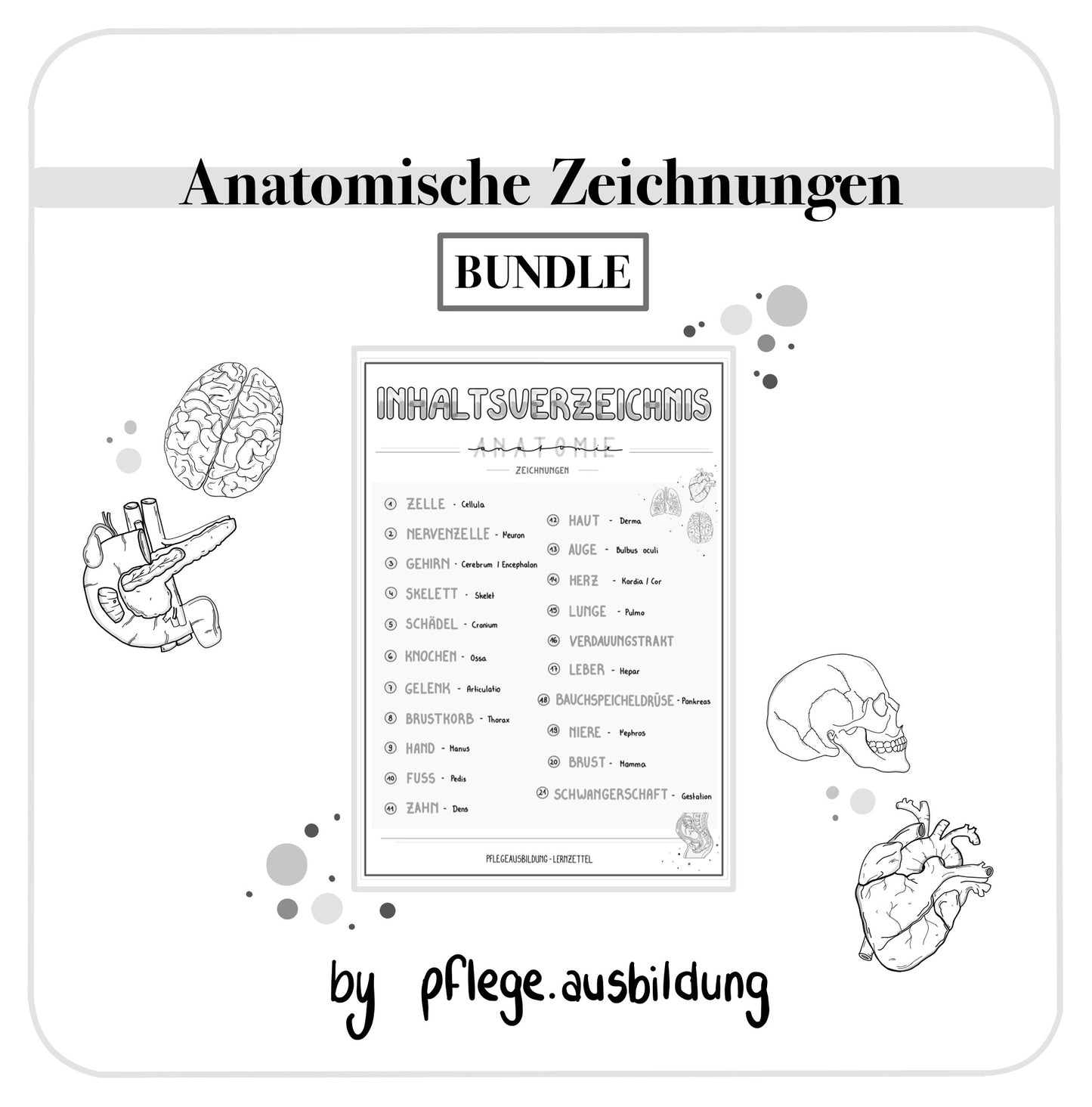 BUNDLE Anatomische Zeichnungen