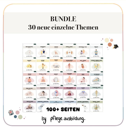BUNDLE 30 neue Einzelne Themen