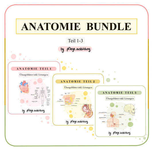 BUNDLE Anatomie