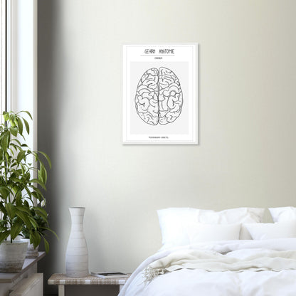 Anatomische Zeichnungen