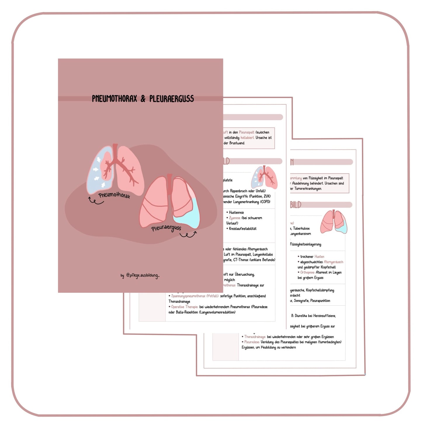 Pneumothorax & Pleuraerguss