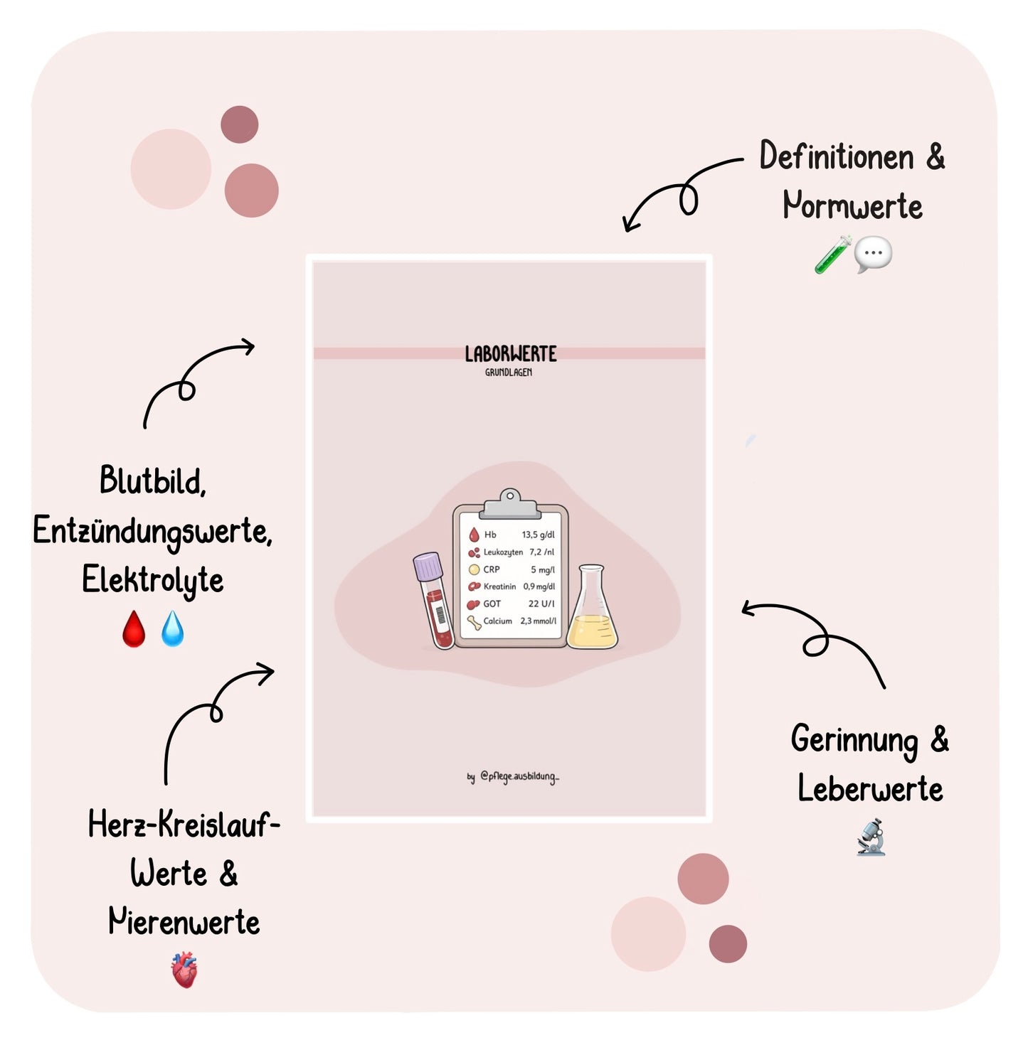 Lymphatisches System