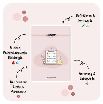 Lymphatisches System