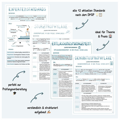 Expertenstandards
