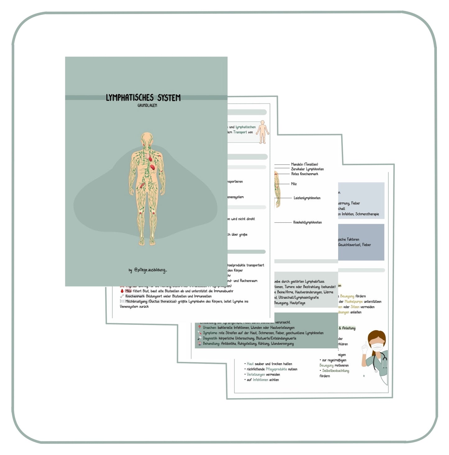 Lymphatisches System