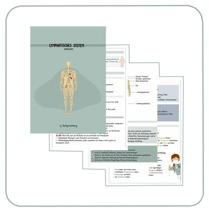 Lymphatisches System
