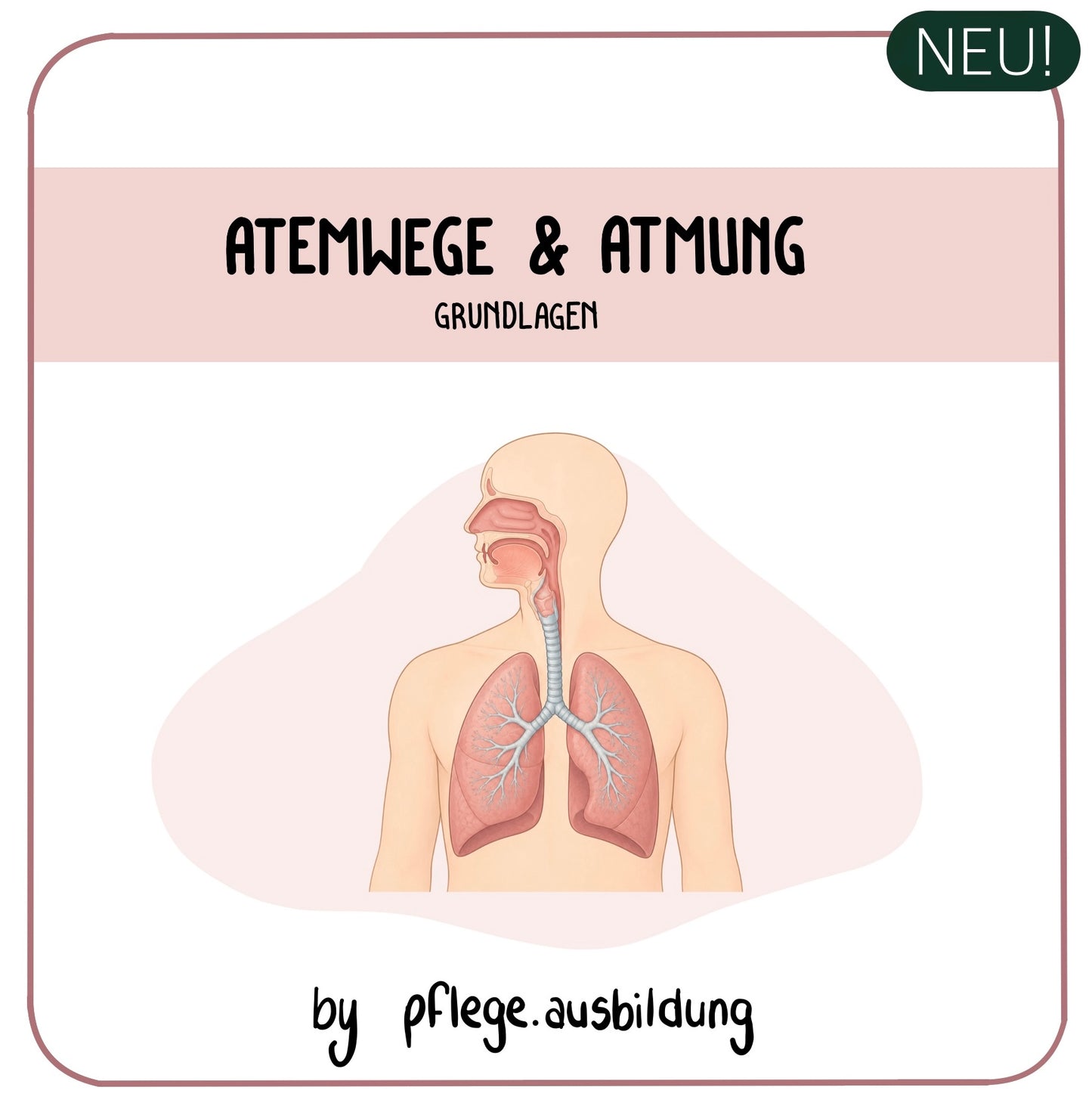 Atemwege & Atmung