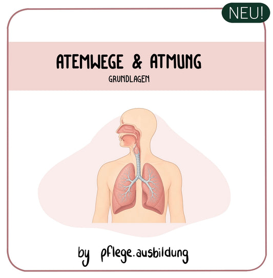 Atemwege & Atmung