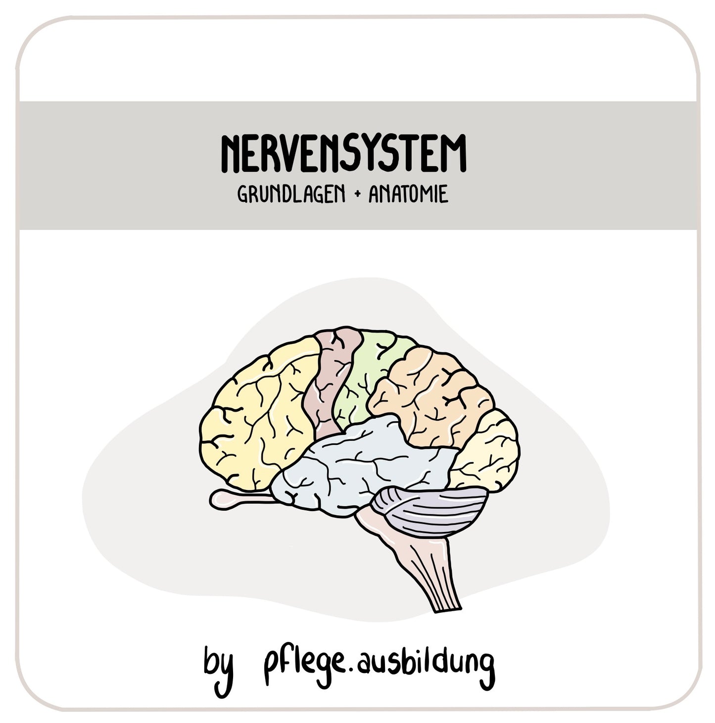 Nervensystem