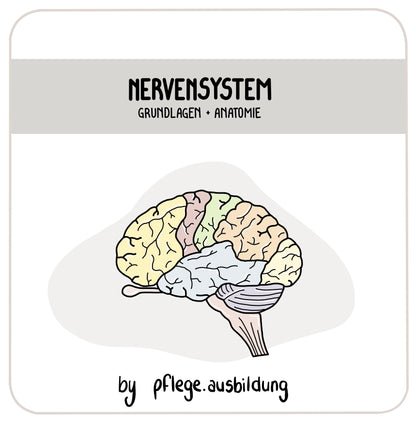 Nervensystem