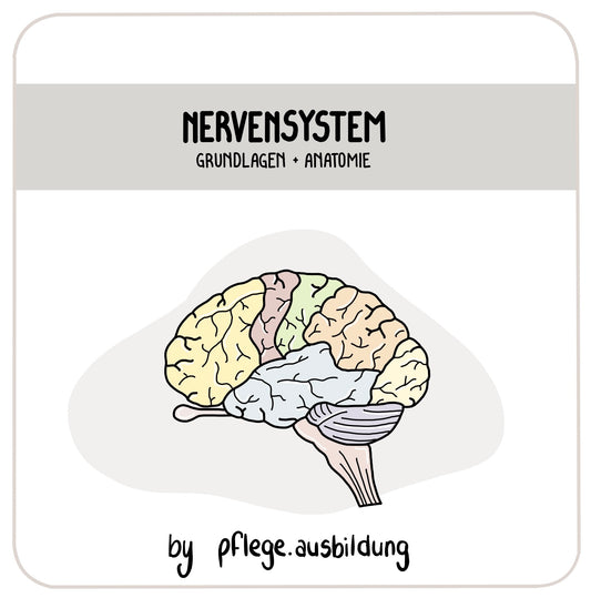 Nervensystem