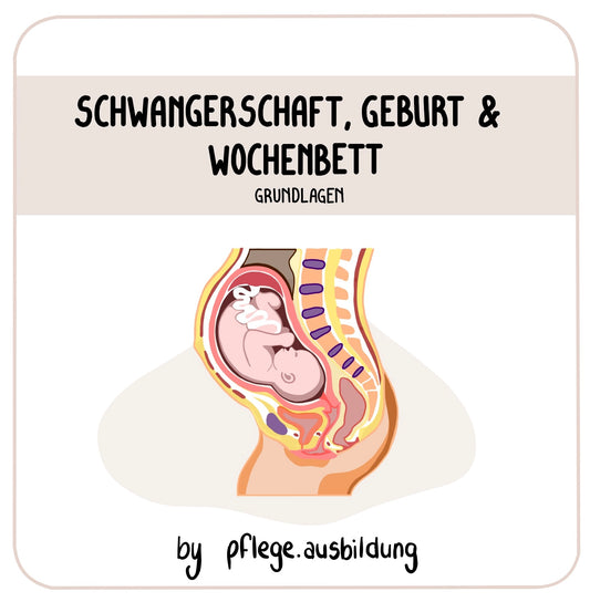 Schwangerschaft, Geburt & Wochenbett