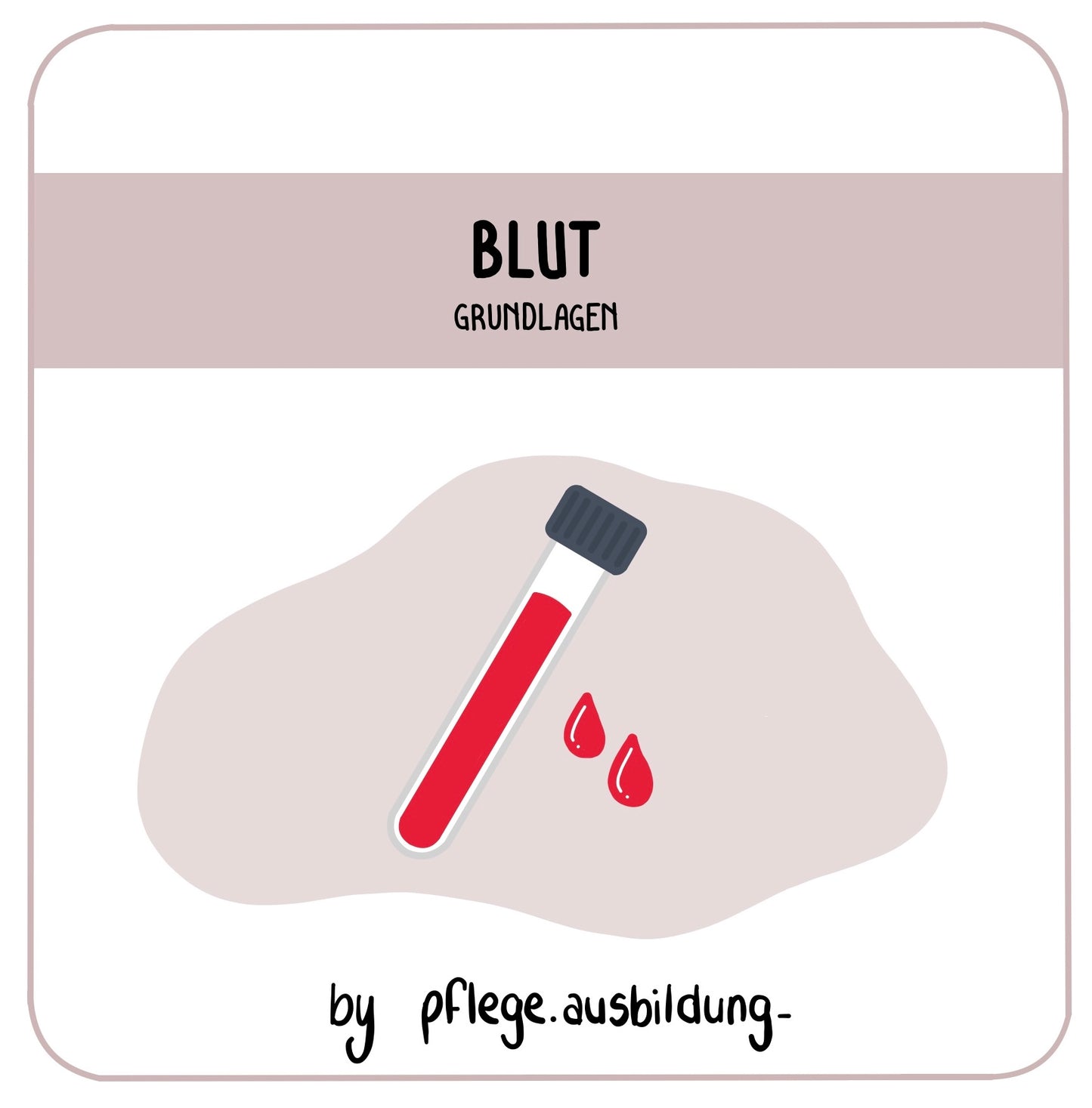Blut Grundlagen