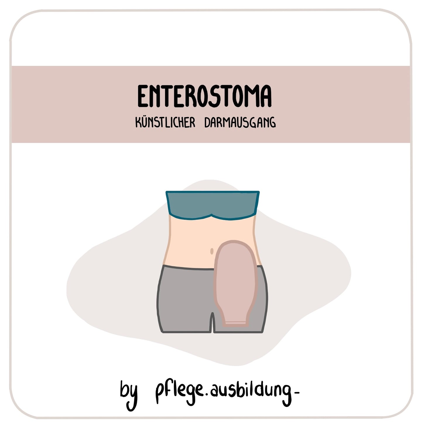 Enterostoma