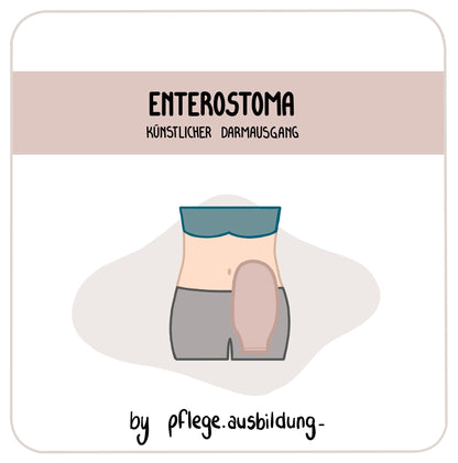 Enterostoma