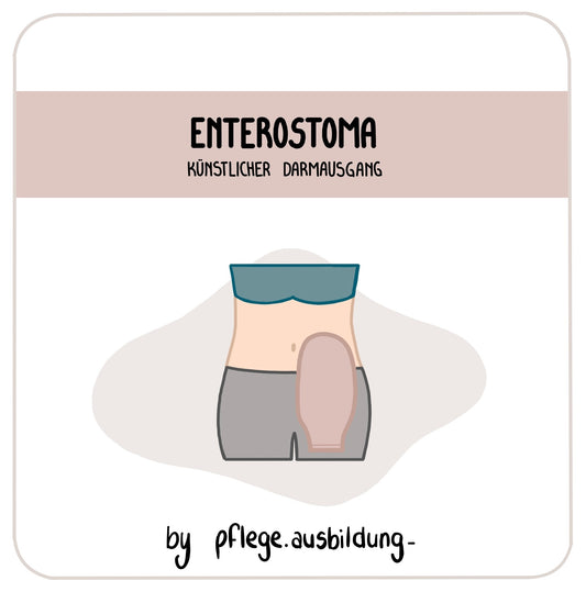 Enterostoma