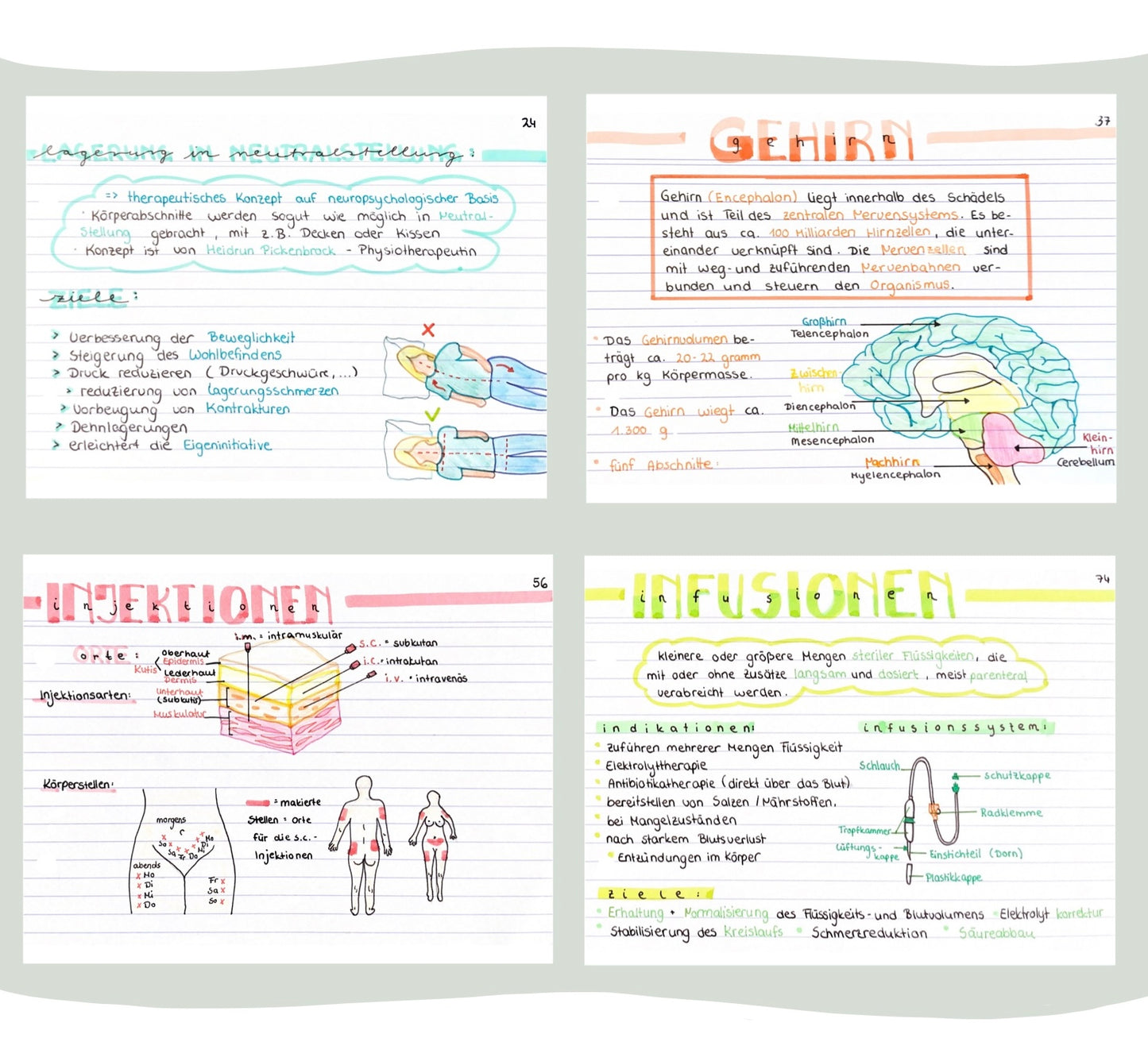 BUNDLE Lernfelder 1-11