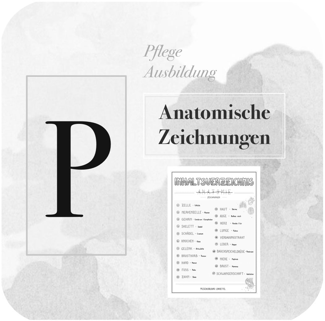 BUNDLE Anatomische Zeichnungen