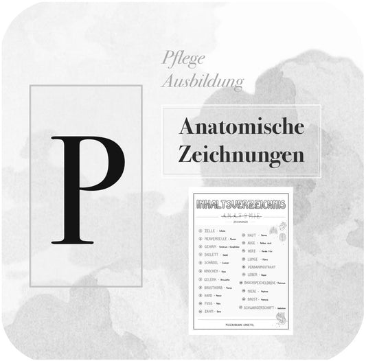 BUNDLE Anatomische Zeichnungen