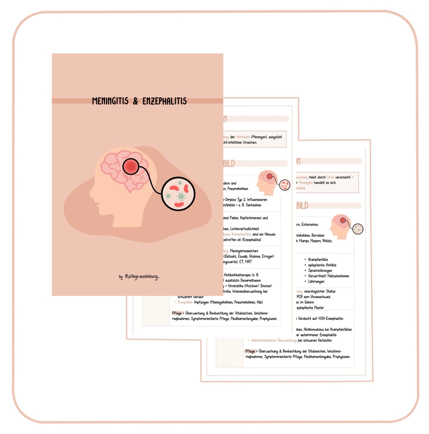 Meningitis & Enzephalitis