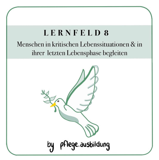 Lernfeld 8