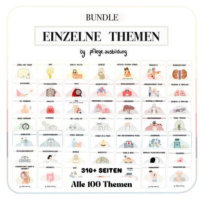 BUNDLE 100  Einzelne Themen