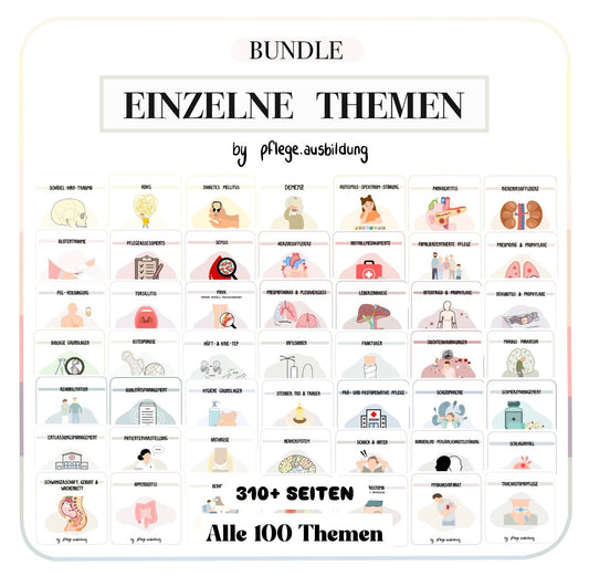 BUNDLE 100  Einzelne Themen
