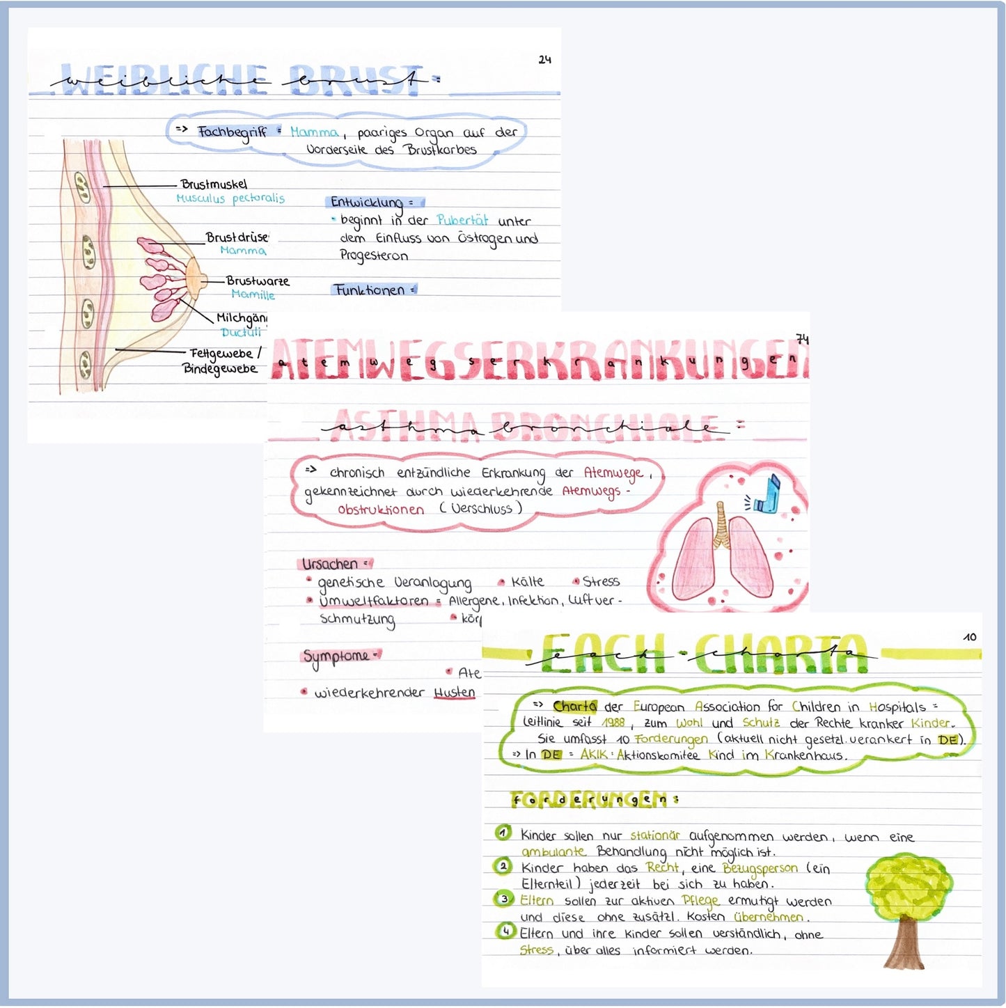 Lernfeld 10