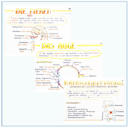 Lernfeld 9