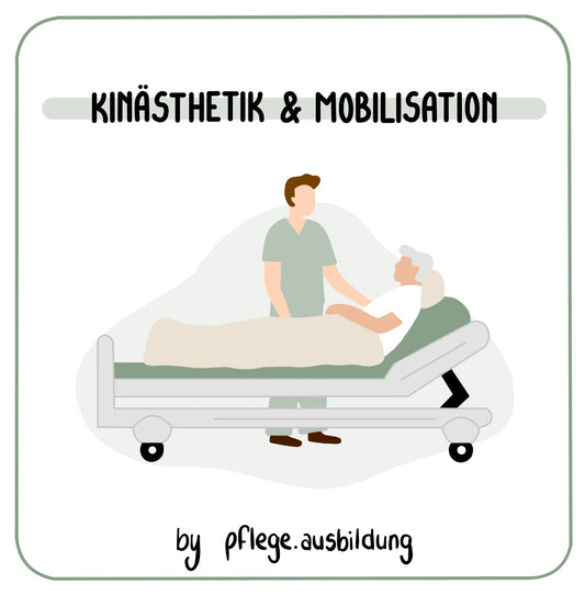 Kinästhetik & Mobilisation