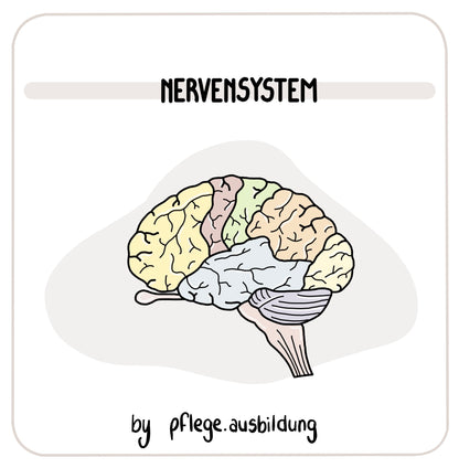 Nervensystem