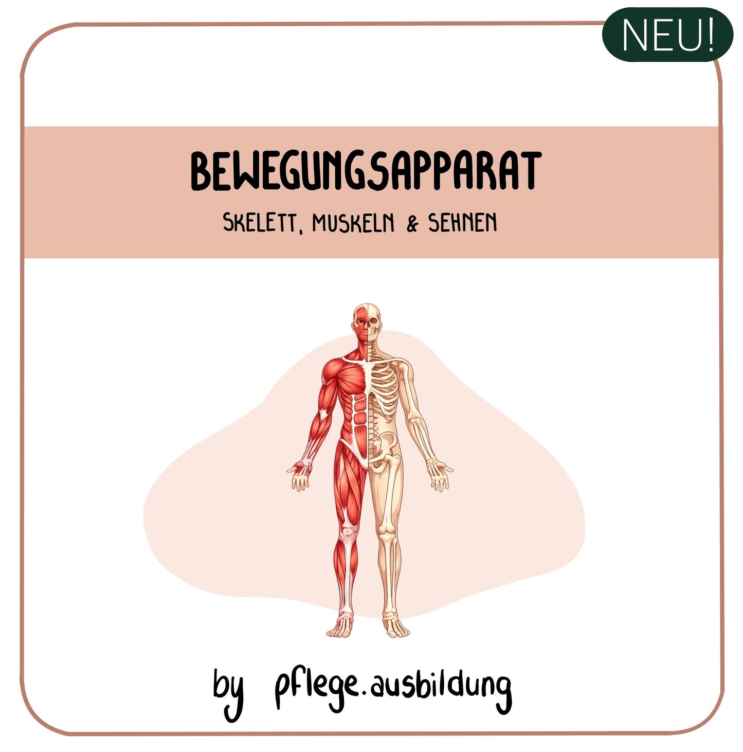 Bewegungsapparat