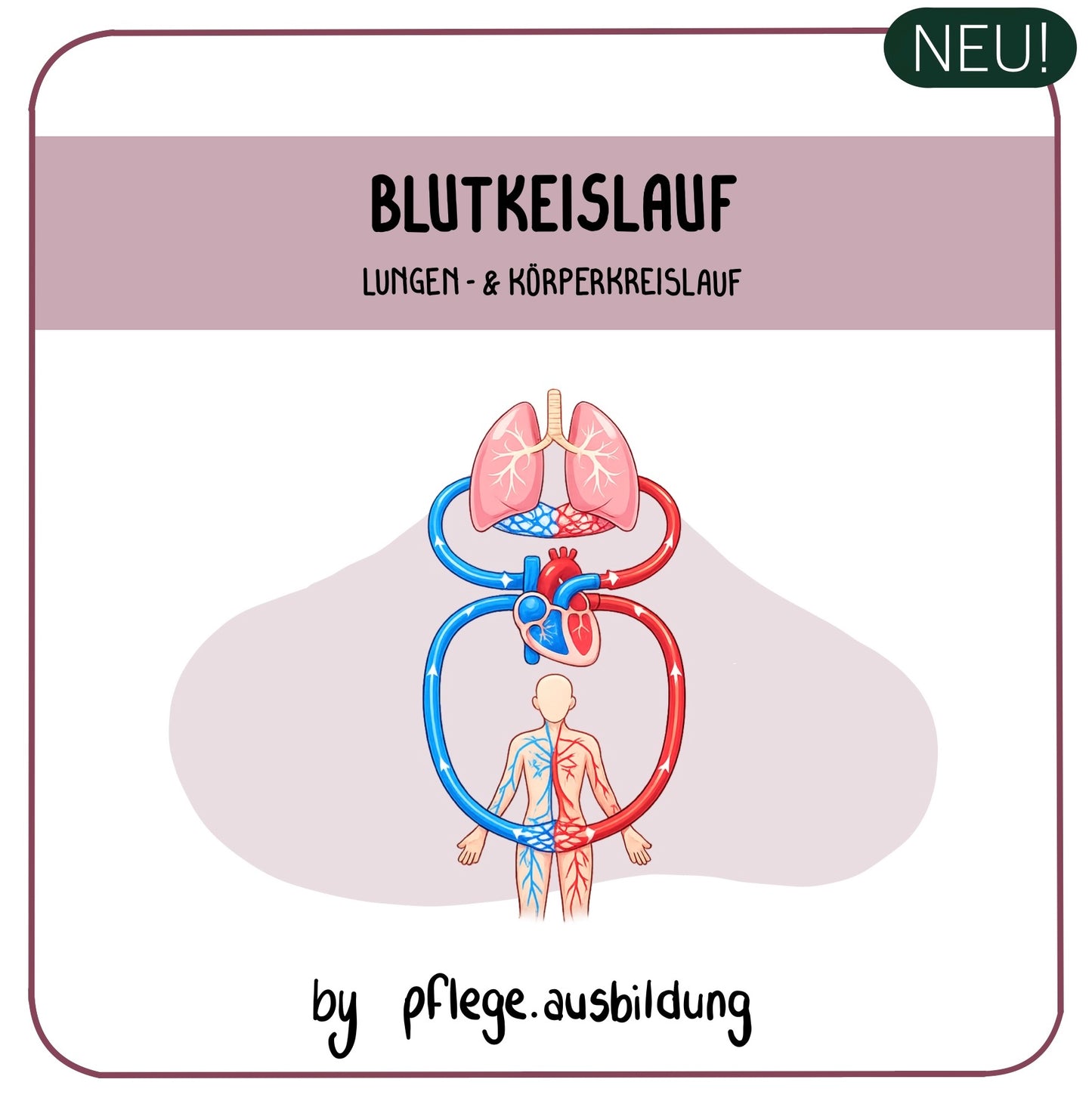 Blutkreislauf
