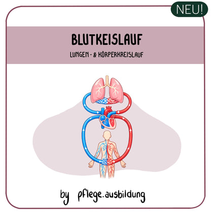 Blutkreislauf