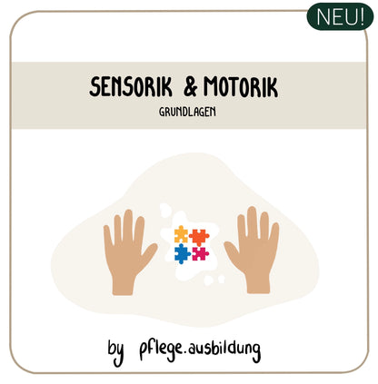 Sensorik & Motorik