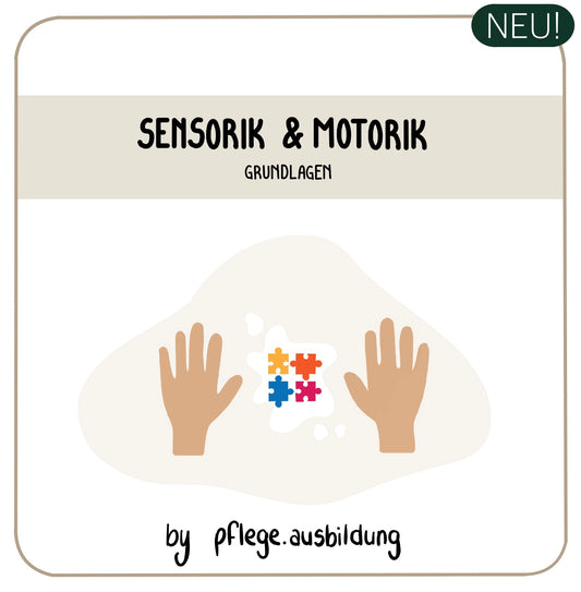 Sensorik & Motorik