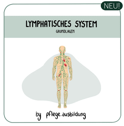 Lymphatisches System