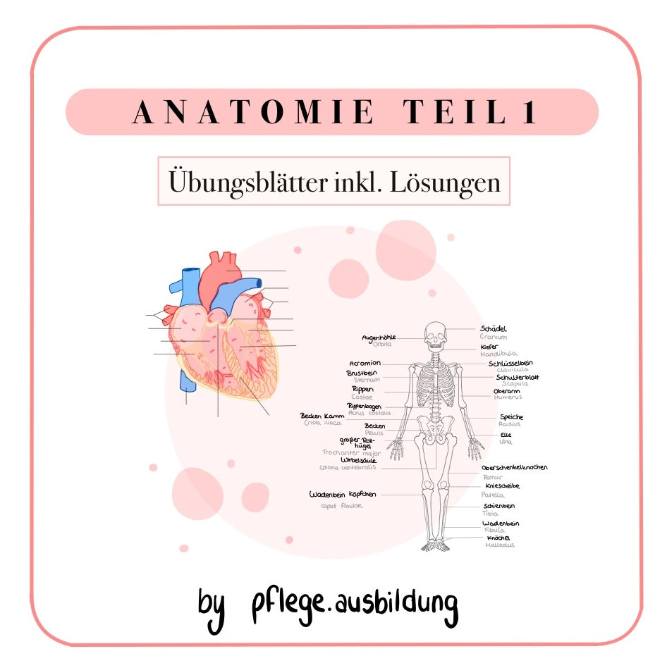 Anatomie Übungsblätter Teil 1