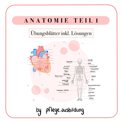Anatomie Übungsblätter Teil 1