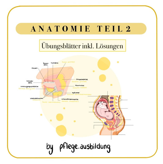 Anatomie Übungsblätter Teil 2